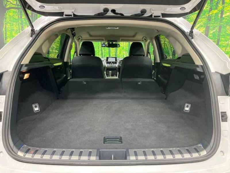 NX