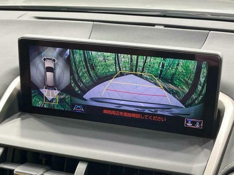 NX
