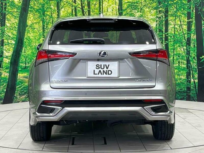NX