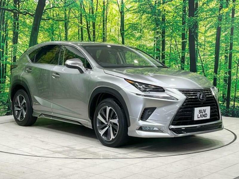 NX