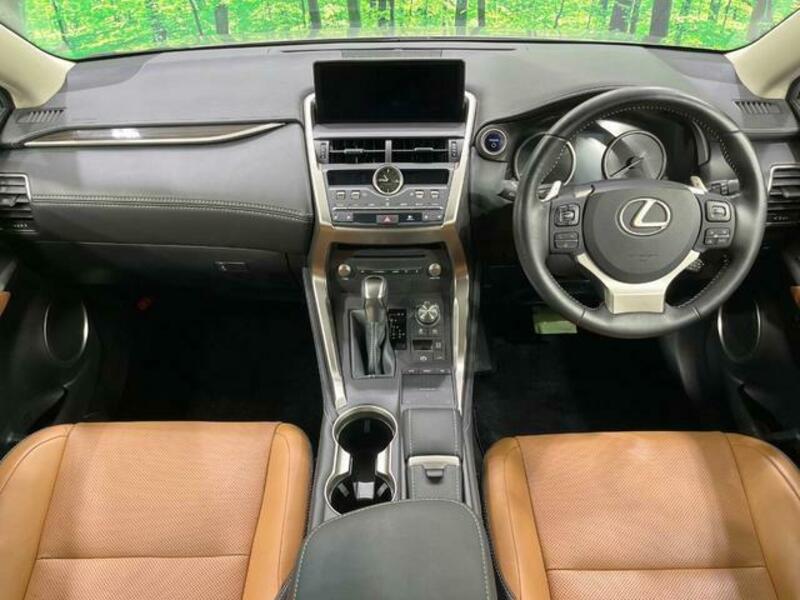 NX