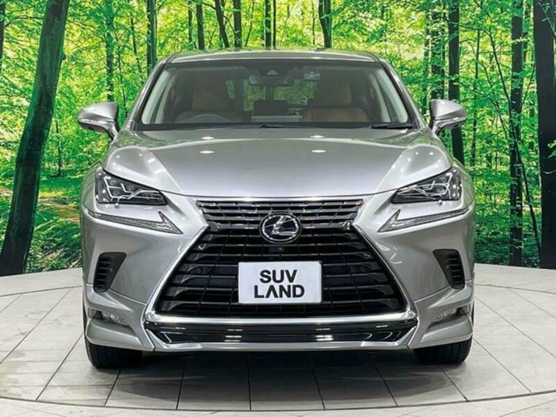 NX