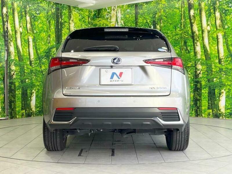 NX