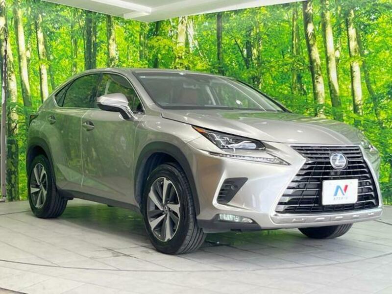 NX