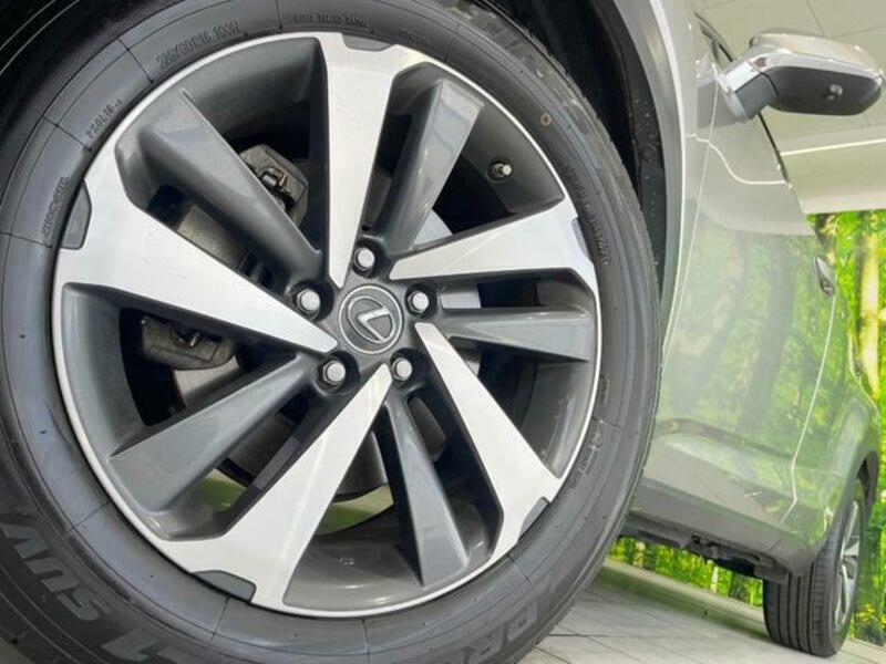 NX