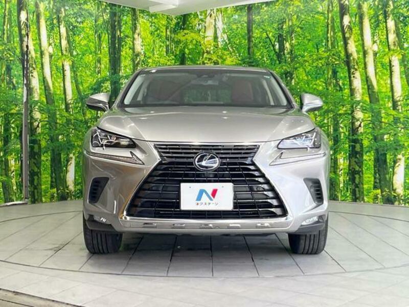 NX