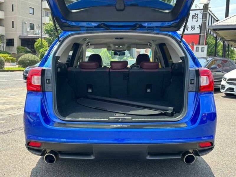 LEVORG