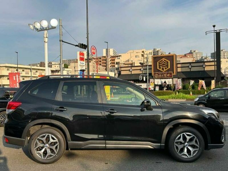 FORESTER