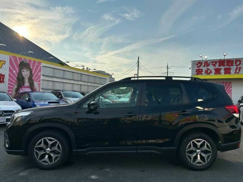 FORESTER