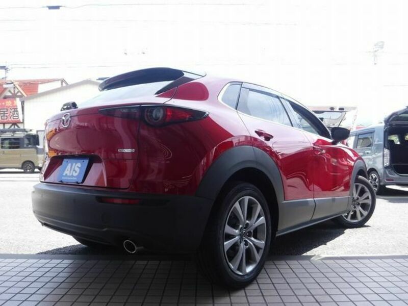 CX-30