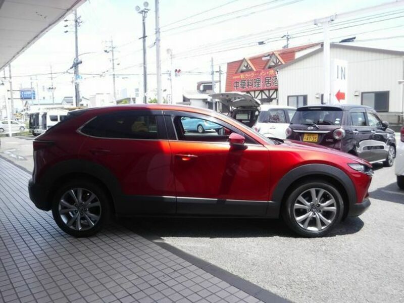 CX-30