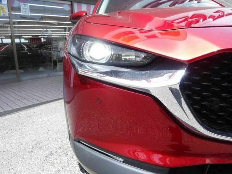 CX-30