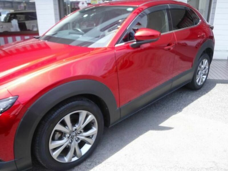 CX-30