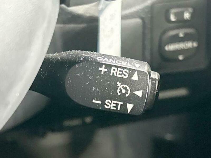 FJ CRUISER