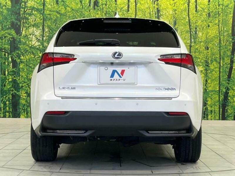 NX