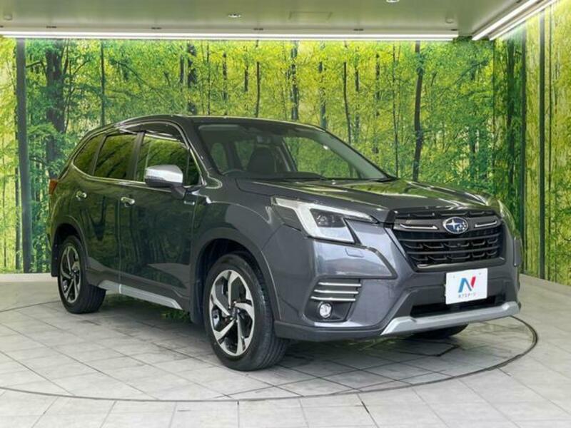 FORESTER