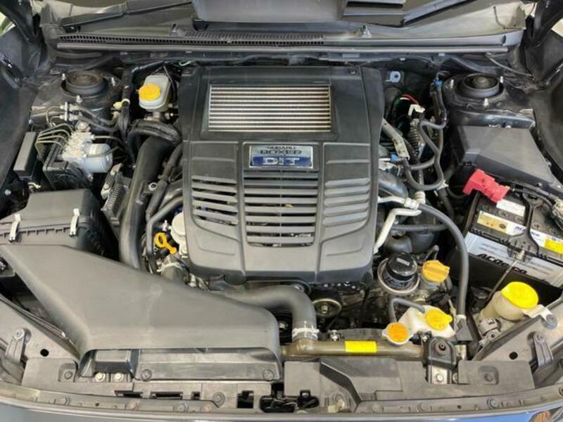 LEVORG