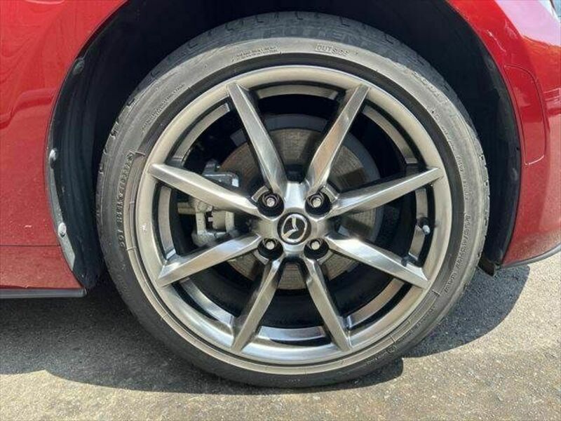 ROADSTER RF