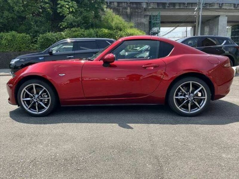 ROADSTER RF