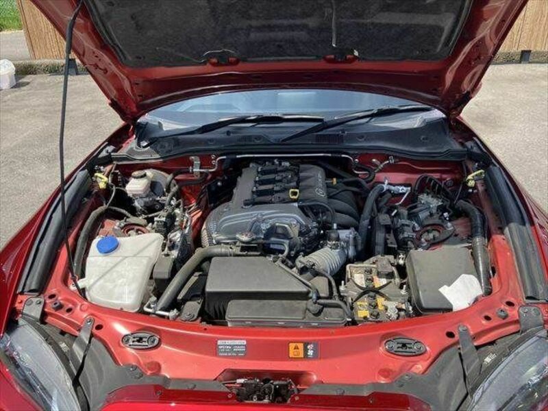 ROADSTER RF