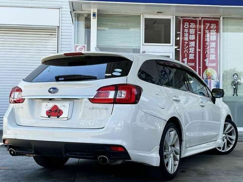LEVORG