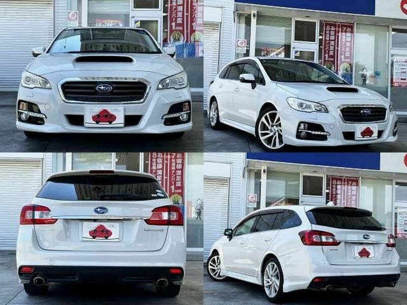 LEVORG
