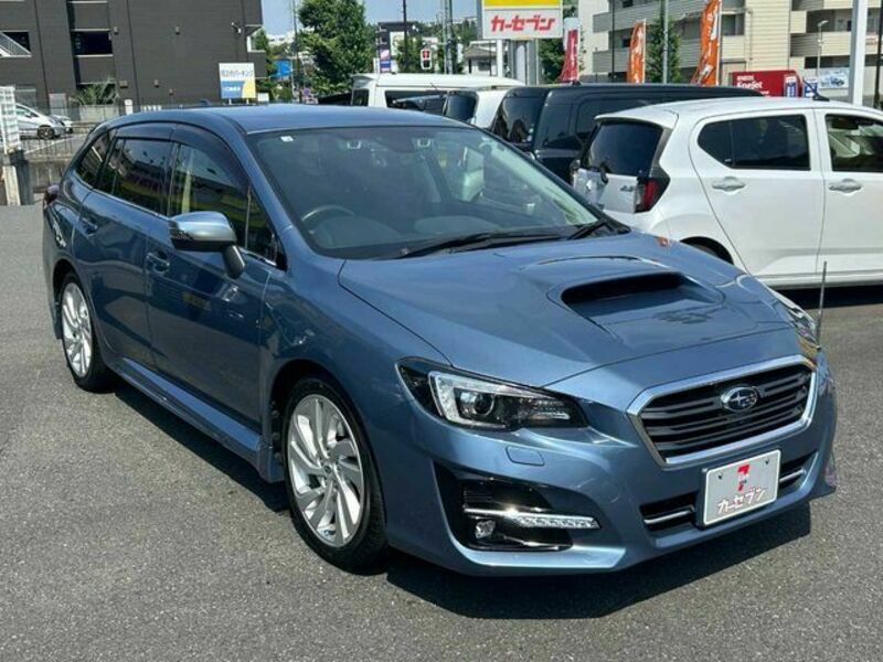 LEVORG