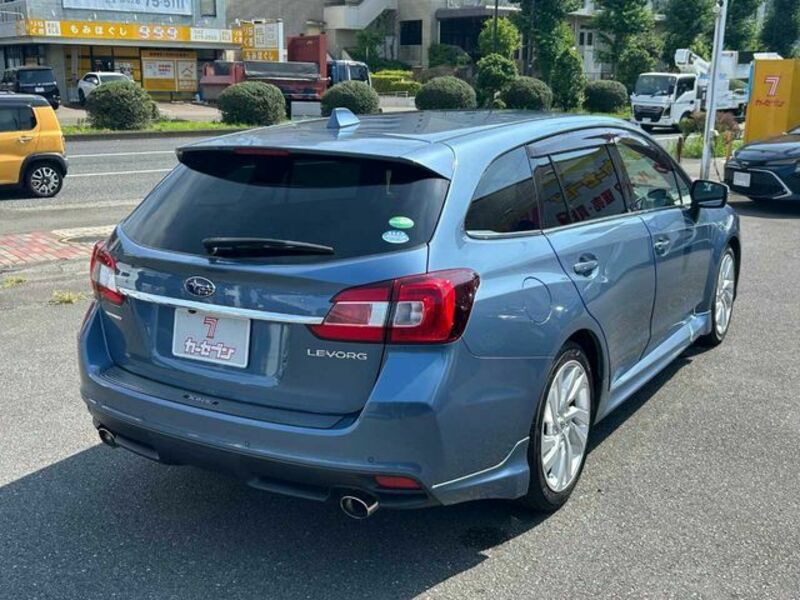 LEVORG