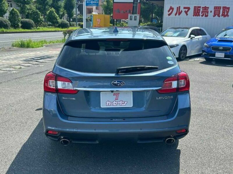 LEVORG