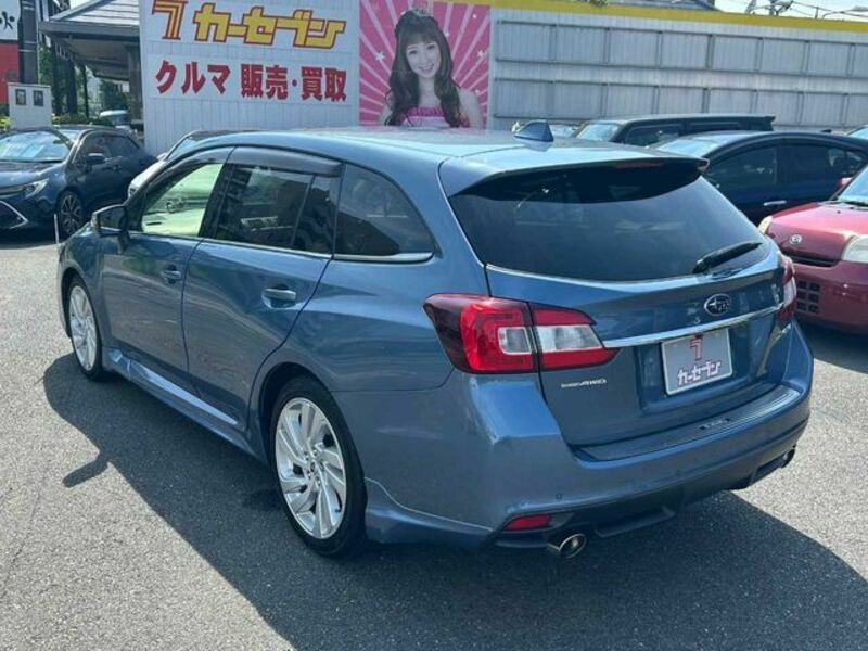 LEVORG