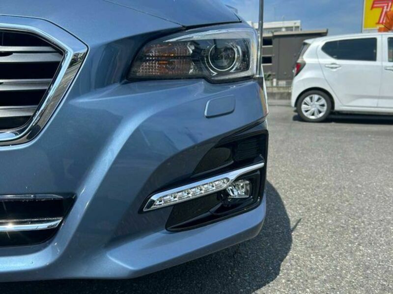 LEVORG