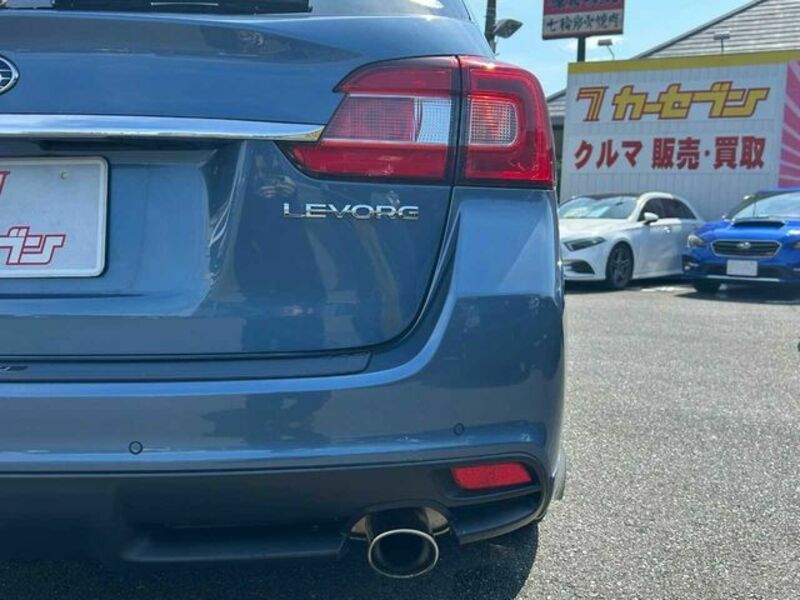 LEVORG