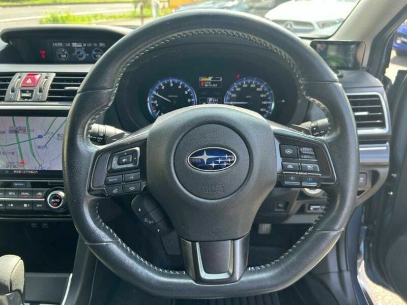 LEVORG