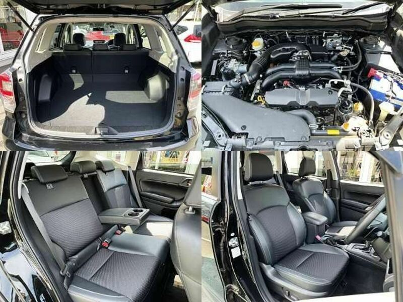 FORESTER
