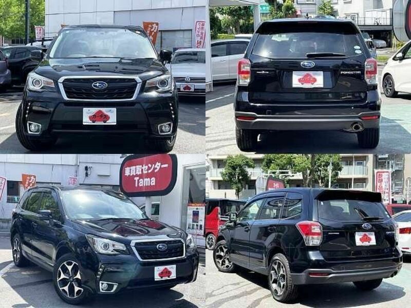 FORESTER