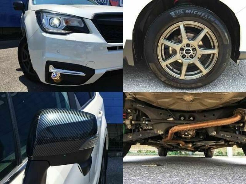 FORESTER
