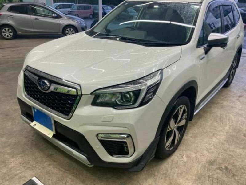 FORESTER