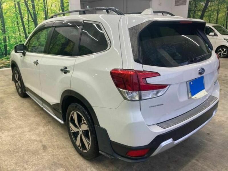 FORESTER