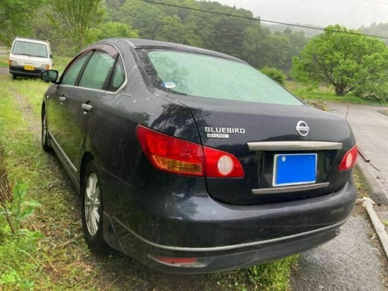 BLUEBIRD SYLPHY