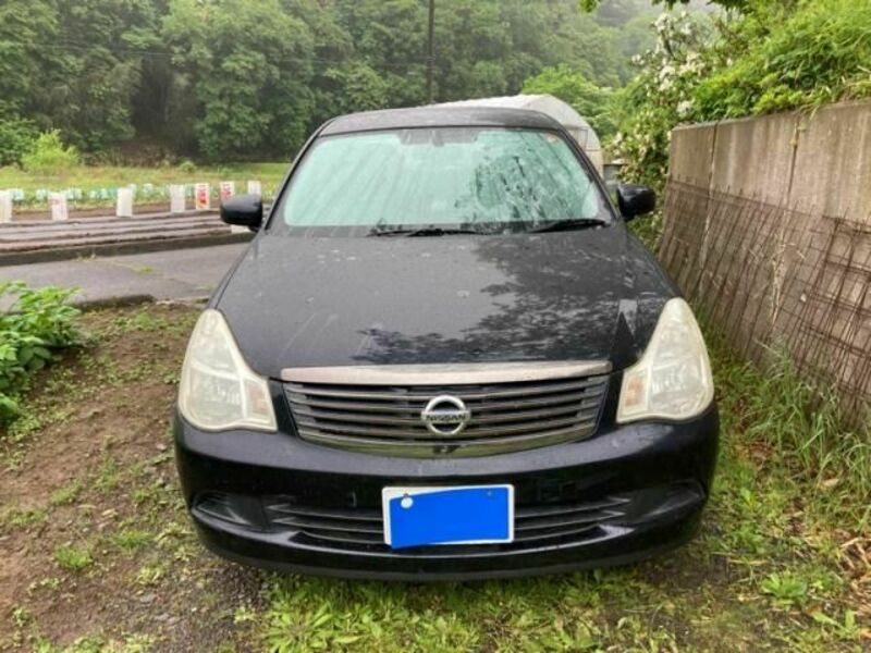 BLUEBIRD SYLPHY