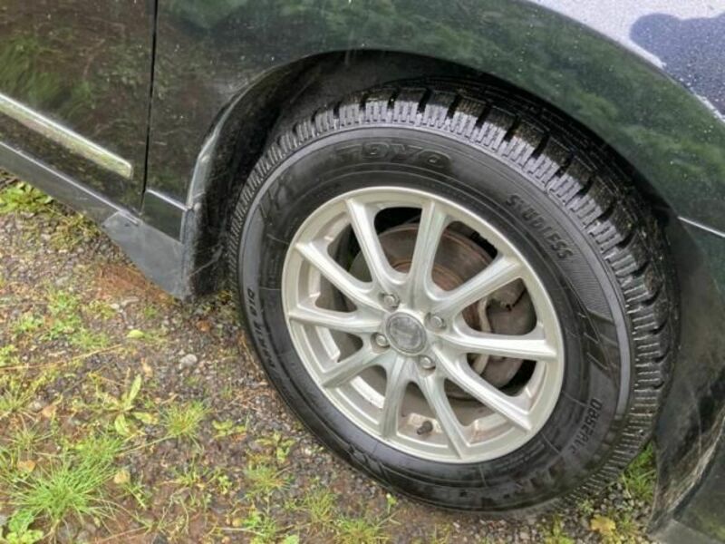 BLUEBIRD SYLPHY