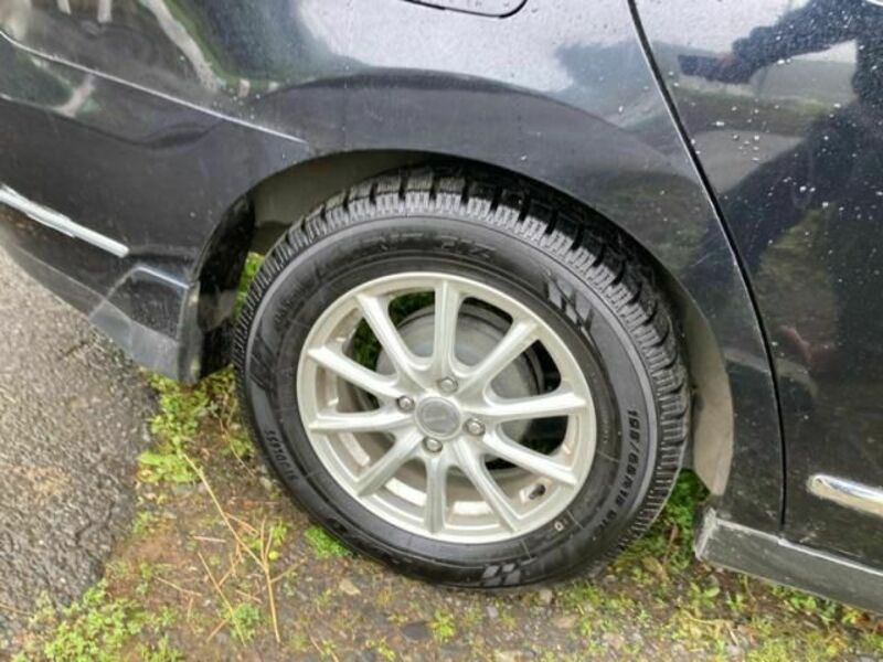 BLUEBIRD SYLPHY