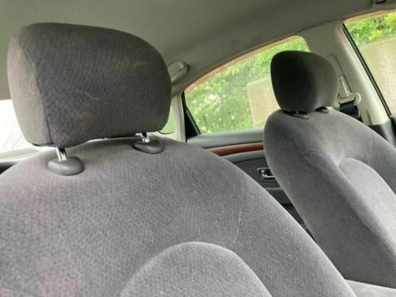 BLUEBIRD SYLPHY