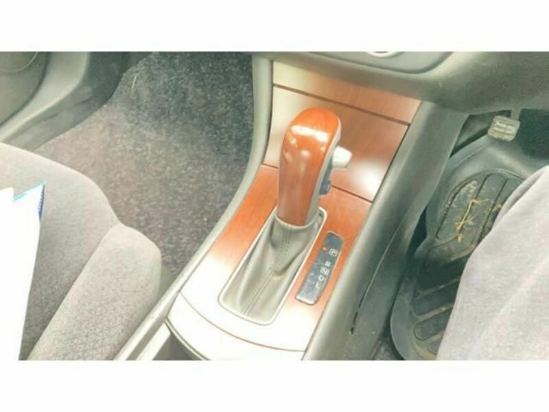 BLUEBIRD SYLPHY