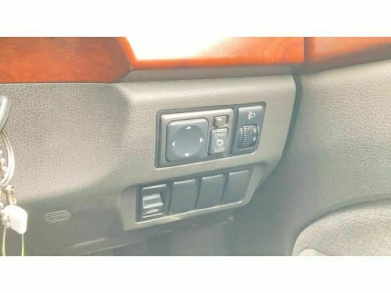 BLUEBIRD SYLPHY