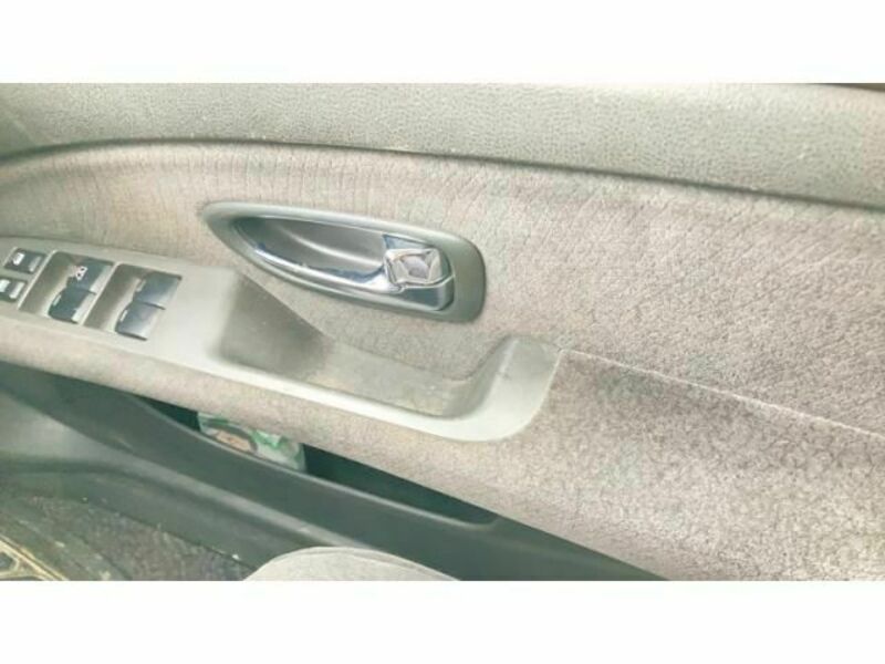 BLUEBIRD SYLPHY