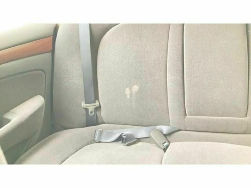 BLUEBIRD SYLPHY
