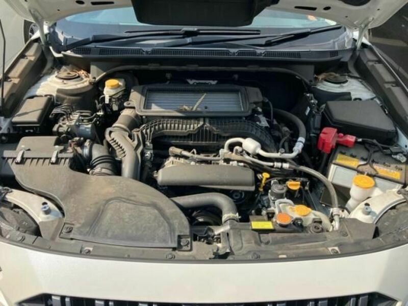 LEGACY OUTBACK