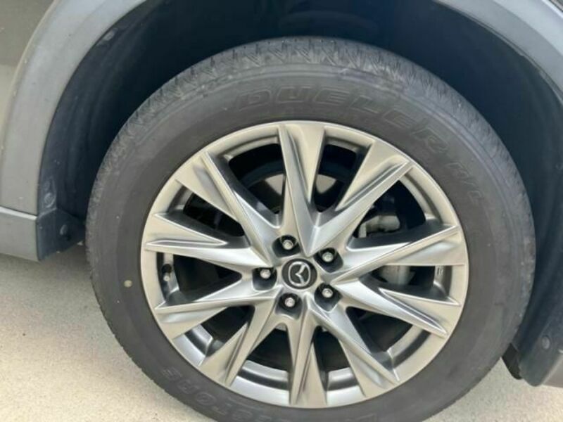 CX-8