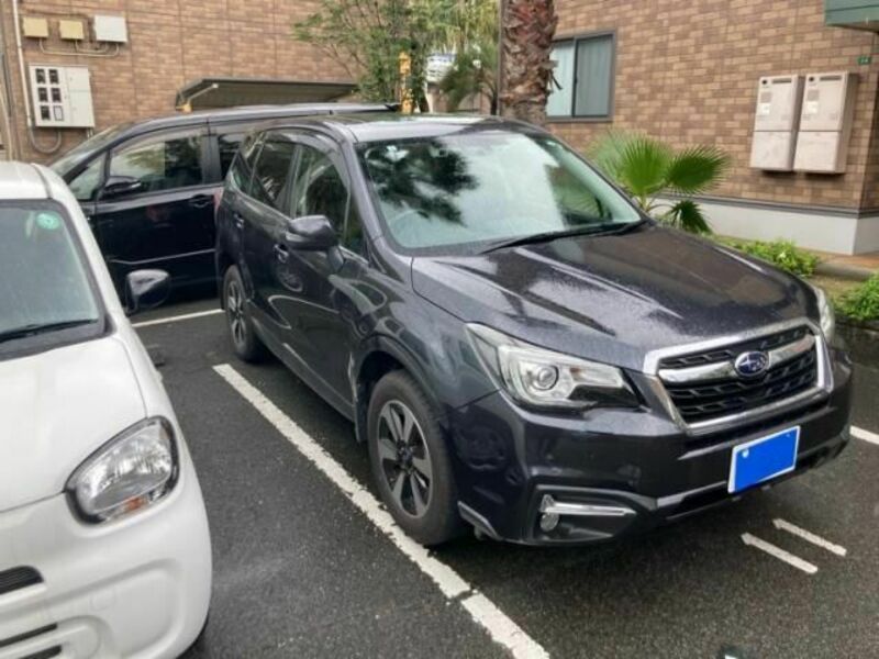 FORESTER
